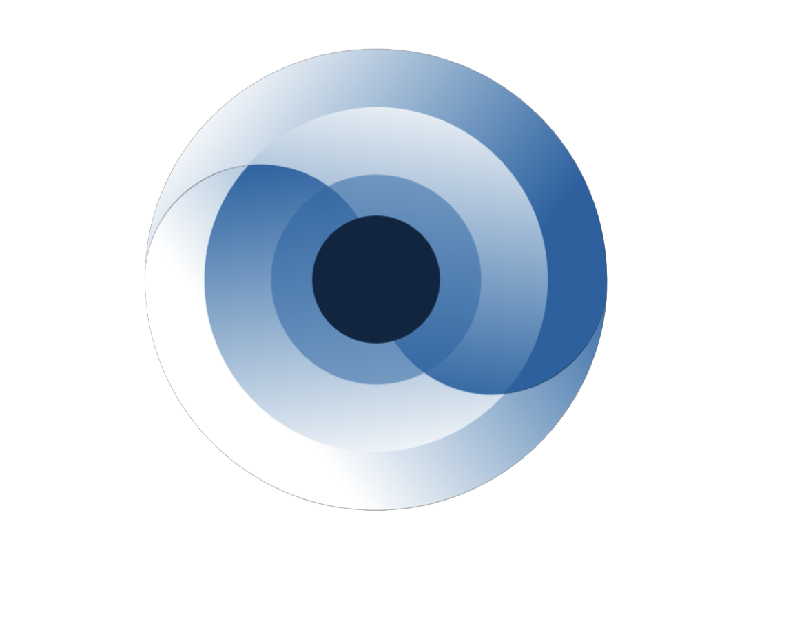Unser neuer IT-Geschäftsbereich bei ORCA Horizon wird ins Leben gerufen!